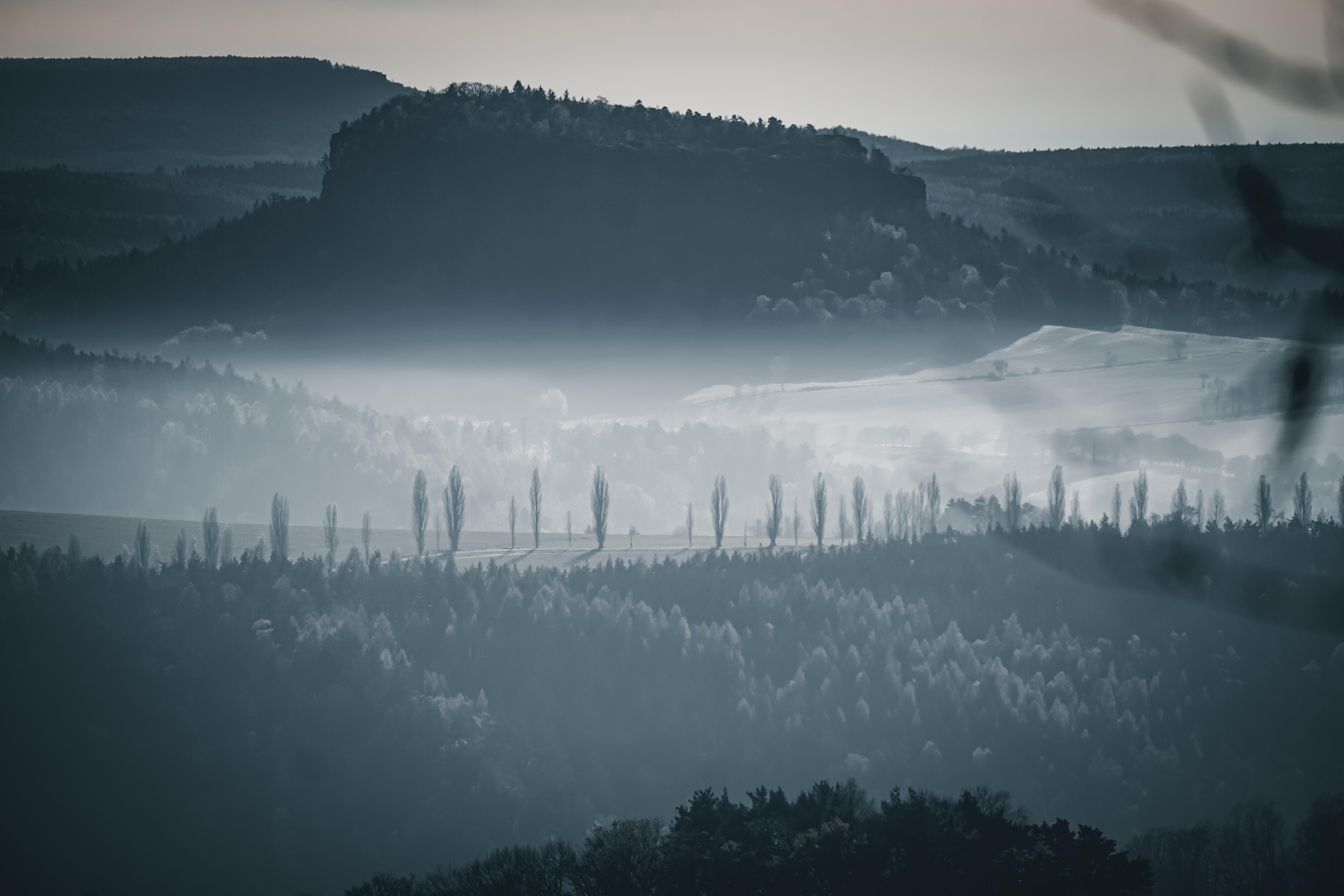 River – light and mist